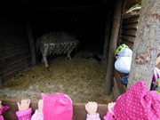 Výlet do svíčkárny Šestajovice